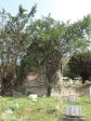 stamford-hill-cemetary-12-poplar-lane-s-29-48-933-e-31-01-530-elev-14-15