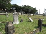 stamford-hill-cemetary-12-poplar-lane-s-29-48-933-e-31-01-530-elev-14-28