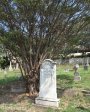 stamford-hill-cemetary-david-bain-1896-margaret-bain-1941-12-poplar-lane-s-29-48-933-e-31-01-530-elev-14-27