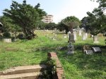stamford-hill-cemetary-general-view-12-poplar-lane-s-29-48-933-e-31-01-530-elev-14-3