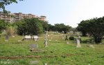 stamford-hill-cemetary-general-views-12-poplar-lane-s-29-48-933-e-31-01-530-elev-14-59
