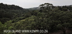 Shallcross - Klaarwater - Kwadangezi (10)