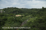 Shallcross - Klaarwater - Kwadangezi (12)