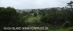 Shallcross - Klaarwater - Kwadangezi (21)