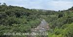 Stainbank reserve northern boundary (1)