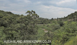 Stainbank reserve northern boundary (2)