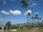 Stellawood Cemetery - Durban Views (2)