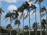 Stellawood Cemetery - Durban Views (5)
