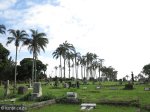 stellawood-cemetary-s-29-53-022-e-30-58-2_0