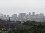 stellawood-cemetary-views-to-city-8_0