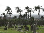 stellawood-cemetary-views-to-city-9_0