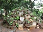 umbilo-selbourne-road-stellawood-wall-of-remem-s-29-53-167-e-30-58-2