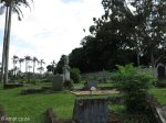 umbilo-stellawood-cemetary-views-s29-53-195-e30-58-1_0