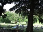 umbilo-stellawood-cemetary-views-s29-53-195-e30-58-2_1