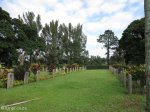 stellawood-military-cemetary-ww1-views-3