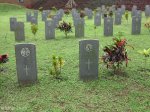 stellawood-military-cemetary-a-williams-ww-robinson-1944
