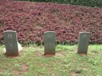 stellawood-military-cemetary-c-buxton-foreman-t-cleary-p-zondach-1942