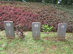 stellawood-military-cemetary-e-ives-g-brand-obedsc-jjl-van-der-westhuizen-1942