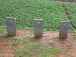 stellawood-military-cemetary-gb-mcmillan-cm-botha-mrs-m-wise-1943