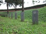 stellawood-military-cemetary-multiple-grave-views-1