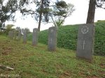 stellawood-military-cemetary-multiple-grave-views-10