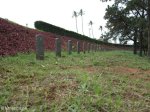 stellawood-military-cemetary-multiple-grave-views-12