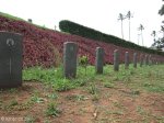 stellawood-military-cemetary-multiple-grave-views-13