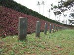 stellawood-military-cemetary-multiple-grave-views-14