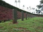 stellawood-military-cemetary-multiple-grave-views-15