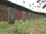 stellawood-military-cemetary-multiple-grave-views-17