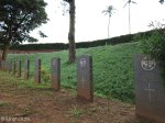 stellawood-military-cemetary-multiple-grave-views-3