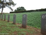 stellawood-military-cemetary-multiple-grave-views-5