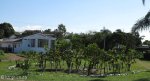 sparks-road-randles-road-shembe-church-s-29-49-995-e-30-59-045