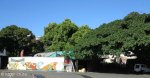 sydenham-crescent-road-veg-market-s-29-49-777-e-30-59-2