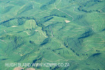 KZN - south coast cane lands (1.) (6)