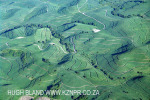 KZN - south coast cane lands (1.) (7)