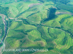 KZN - south coast cane lands (2)