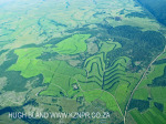 KZN - south coast cane lands (3)