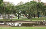 durban-umbilo-albert-dhlomo-resistance-park-monument-park-fountain-s-29-52-192-e-30-59-686-elev-26m-85