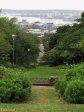 durban-glenwood-univ-of-kzn-silver-jubilee-gardens-s-29-51-996-e30-58-956-elev-141m-63