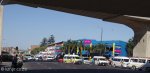 warrick-early-morning-market-s29-51-305-e-31-00650-elev-16m-5
