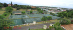 Westridge Park Tennis - Tennis Courts (3)