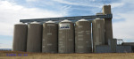 Dannhauser - Faversham Street - Maize Mill & silos - Afgri (1)