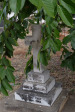 Elandheim Cemetery grave of  Auguste Dedekind 1913