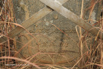 Elandskraal Lutheran Church 1929 cemetery  grave Louise D (born Alm)  died 1884  (1)
