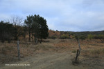 Elandskraal area farm 28.26.37 S 30.32.56 E (3)