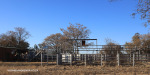 Elandslaaghte-Farmers-Association-sale-pens6