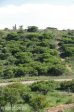 elandslaaghte-battle-site-s28-25-425-e-29-58-745-hills-12