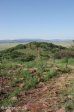 elandslaaghte-battle-site-s28-25-425-e-29-58-745-hills-24