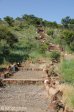 elandslaaghte-battle-site-s28-25-425-e-29-58-745-hills-5